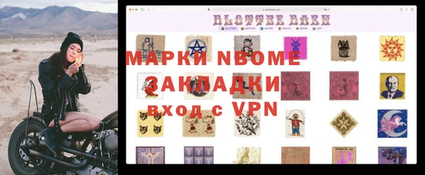 индика Медвежьегорск