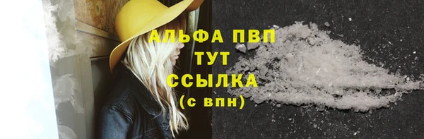 индика Медвежьегорск