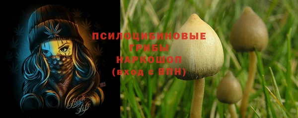 индика Медвежьегорск