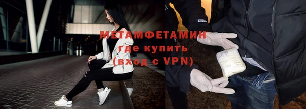 индика Медвежьегорск