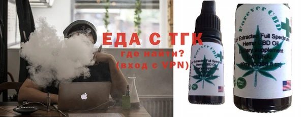 индика Медвежьегорск