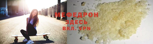 индика Медвежьегорск