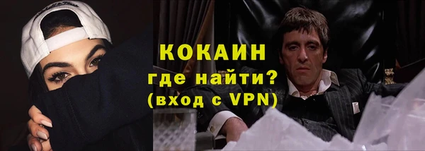 индика Медвежьегорск