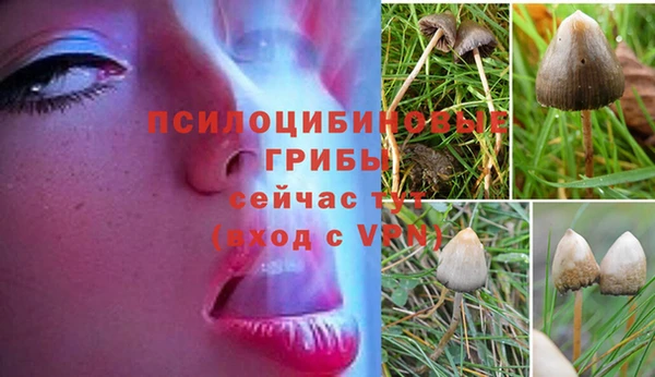 гидра Мегион