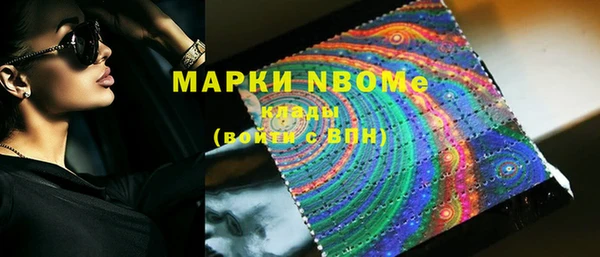 индика Медвежьегорск
