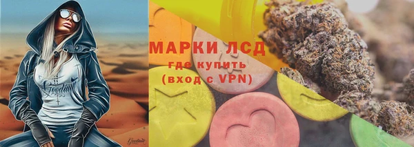 индика Медвежьегорск