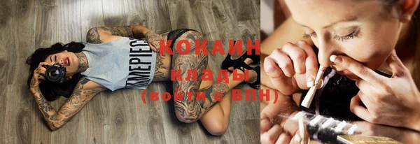 мдпв Магас