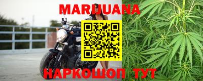 прущие грибы Балаково