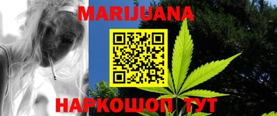 прущие грибы Балаково