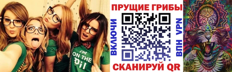 Псилоцибиновые грибы прущие грибы  Старая Купавна 