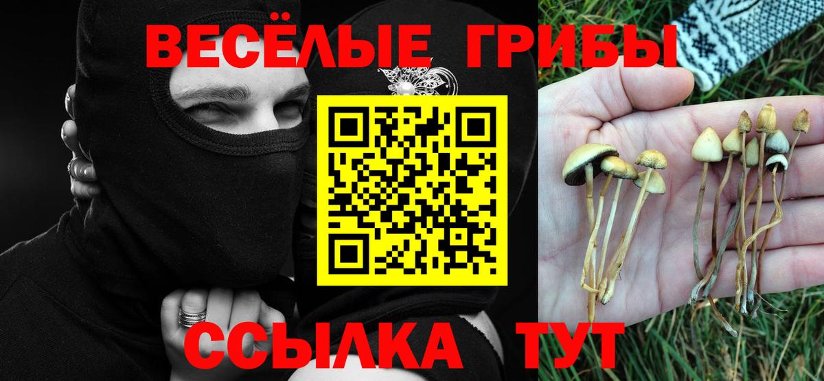 Галлюциногенные грибы ЛСД  Галлюциногенные грибы прущие грибы  Старая Купавна  Вход с VPN 