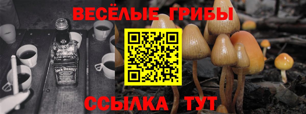 Cocaine  Вход с VPN  Каннабис  XTC  МЕФ  ГАШИШ  Старая Купавна  Мяу-Мяу 